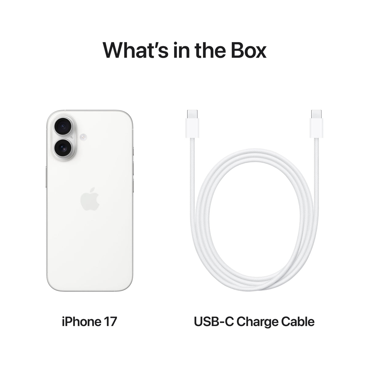 Apple iPhone 17 Black
